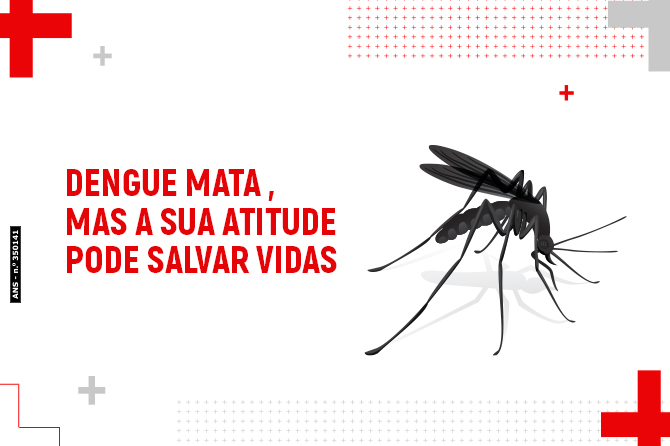 Dengue mata, mas a sua atitude pode salvar vidas